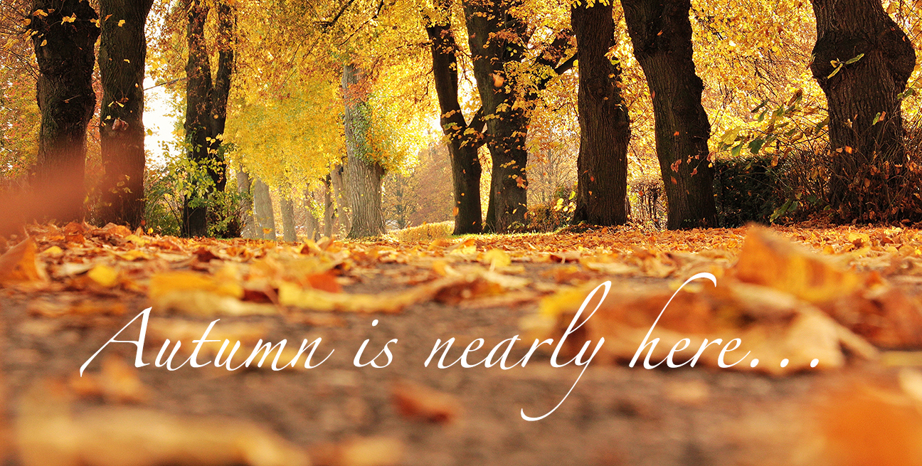 fall